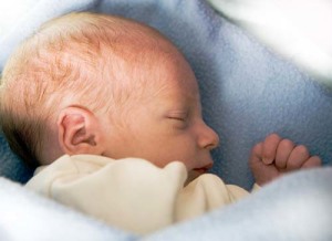 Babys werden durch den Geruch von Lavendelöl beruhigt.